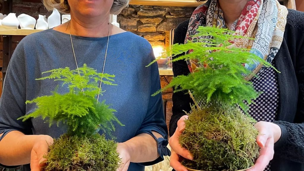 Atelier kokedama par l'atelier de Brice