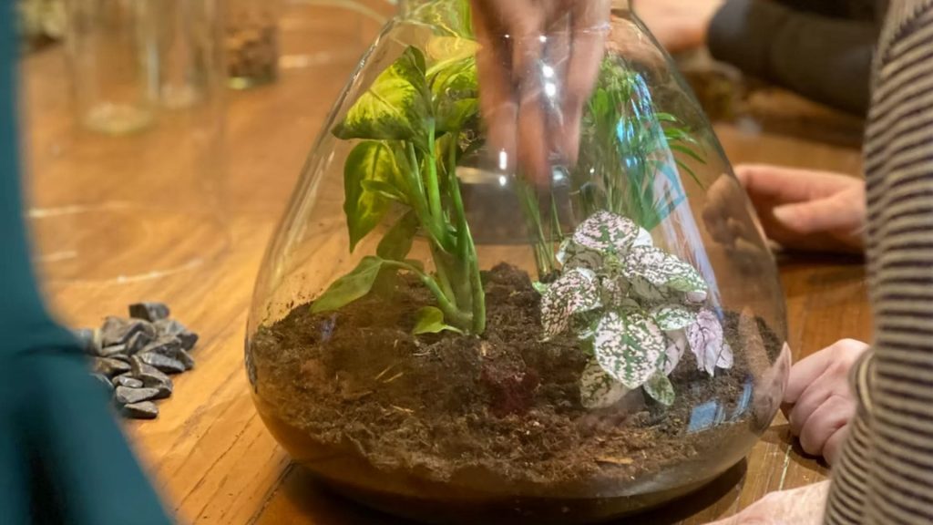 Atelier terrarium par l'atelier de Brice