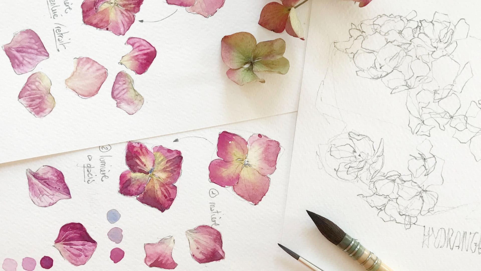 Jour Botanique - Jardin d'été