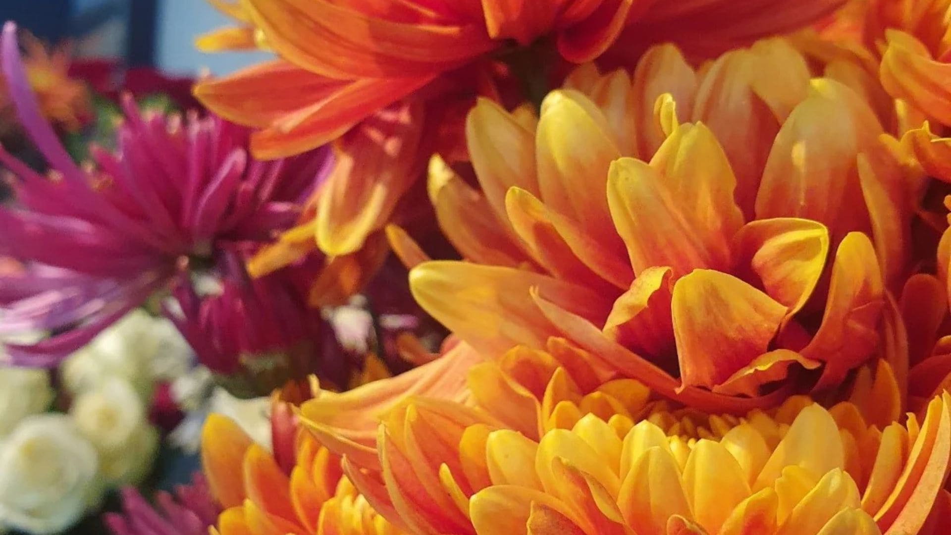 Bouquet de fleurs de saison